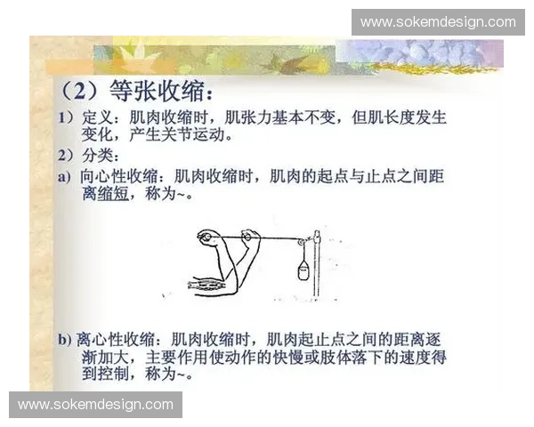 以肌肉激活为核心的科学训练原理与功能提升全解析及运动表现优化策略